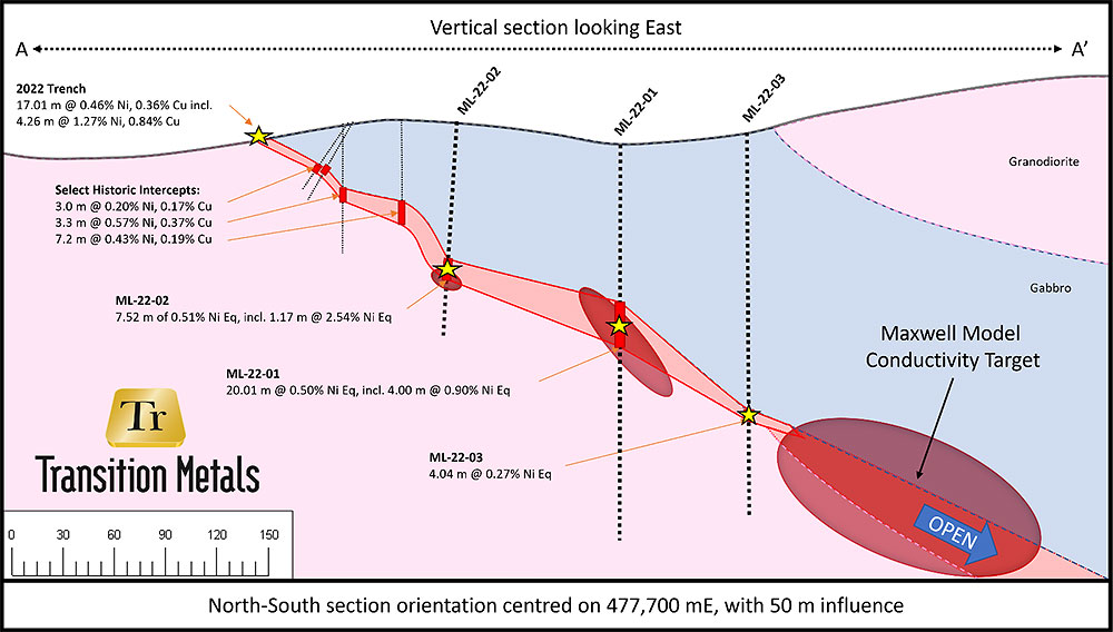 Figure 2:  Schematic cross section with trench and drill results, showing borehole conductivity targets (red circles).